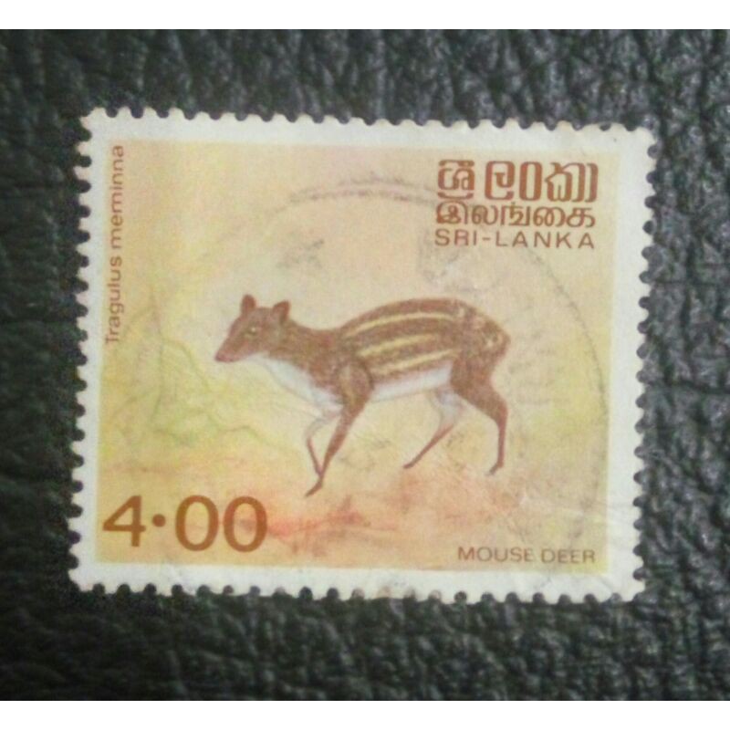 Perangko Srilanka 1981 Satwa satwa Srilanka