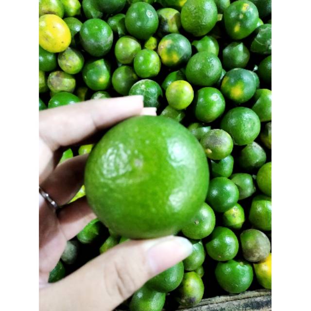 

Jeruk peras 1kg|buah segar bandung|nuri fruits|jeruk peres|jeruk peras ijo|buah bandung