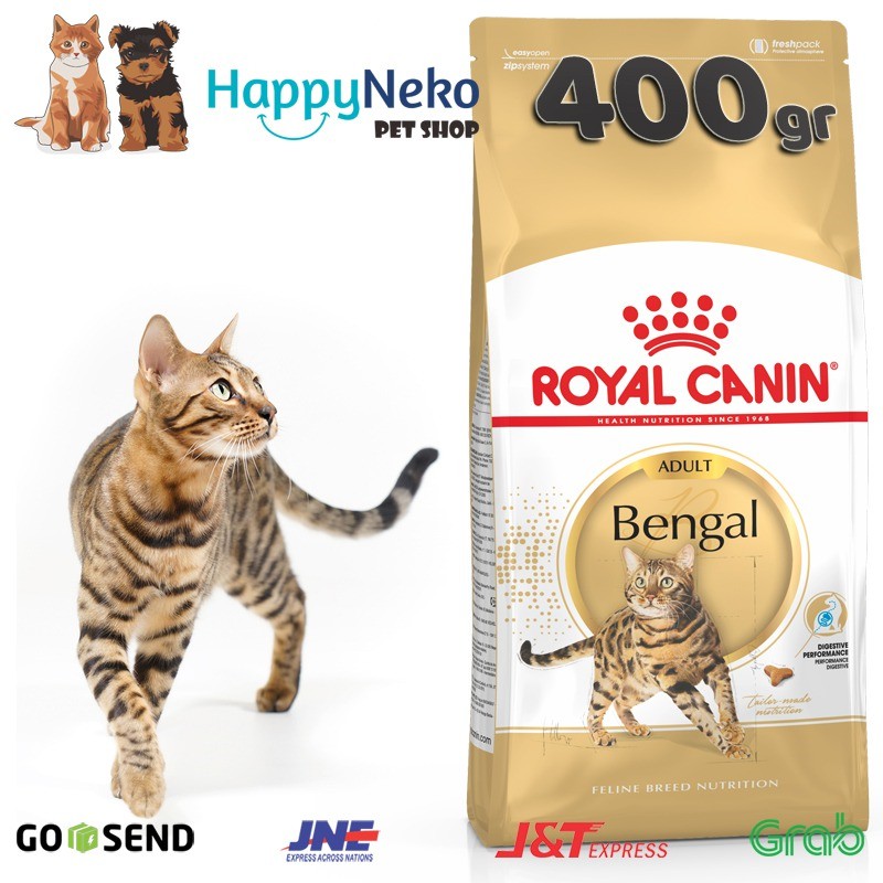 Malaysia bengal harga kucing Jenis Baka