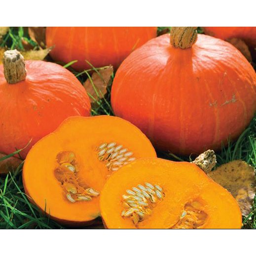 

Cabocha Merah 1000gr