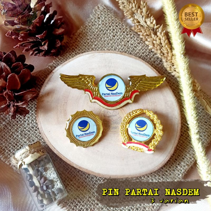 PIN PARTAI NASDEM