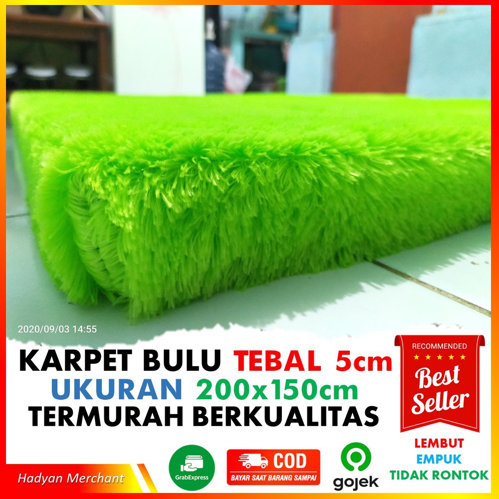 KARPET BULU TEBAL 5cm D5 UKURAN 200x150cm | Shopee Indonesia