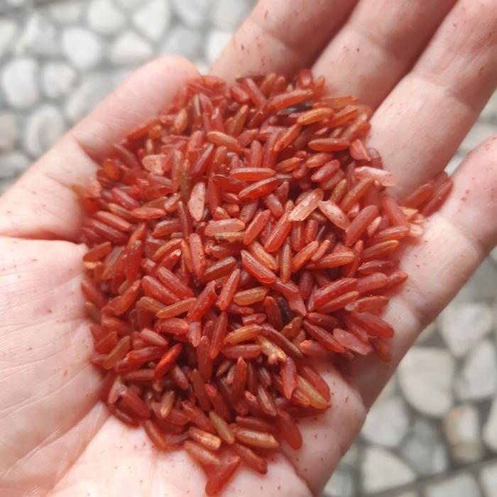 

Beras Merah Sosoh 5 Kg Pulen Cocok Untuk Diet Dan Mpasi