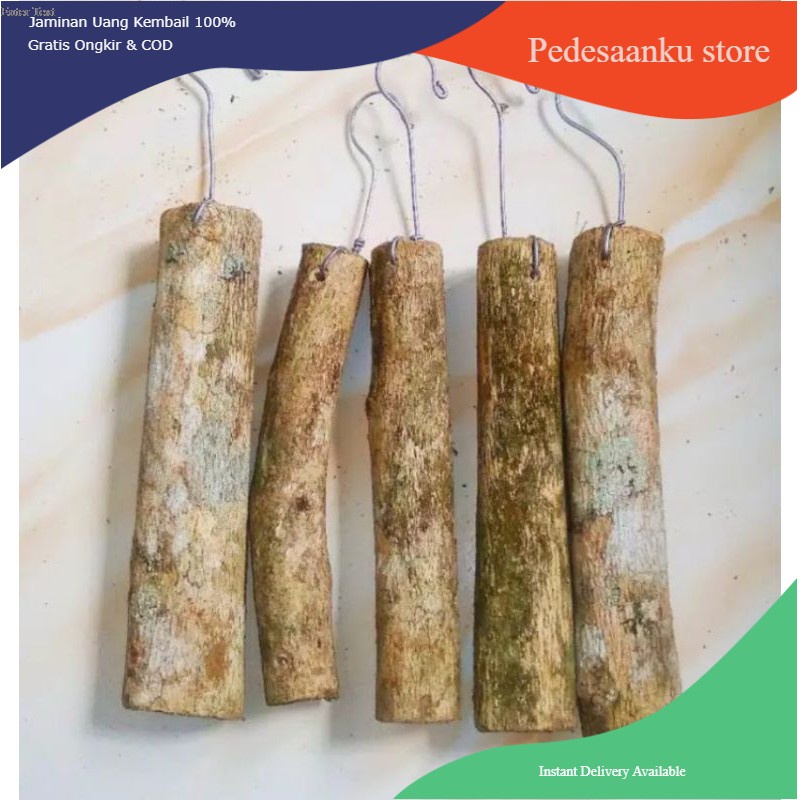 media tanam anggrek kayu kopi - media tanam anggrek gantung kayu kopi