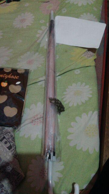 Payung Transparan Korea Japanese Style New Foto Prewedding