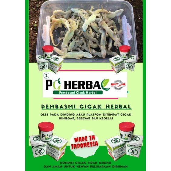 PROMO (GROSIR) RACUN CICAK RACUN CICAK HERBAL RACUN CICAK ORIGINAL PEMBASMI CICAK HERBAL RACUN CICAK