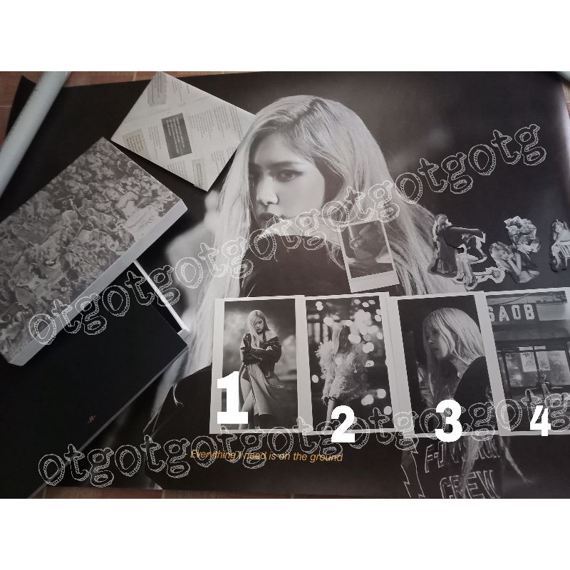 POLAROID PC ROSE -R- OFFICIAL / ALBUM ONLY ROSE