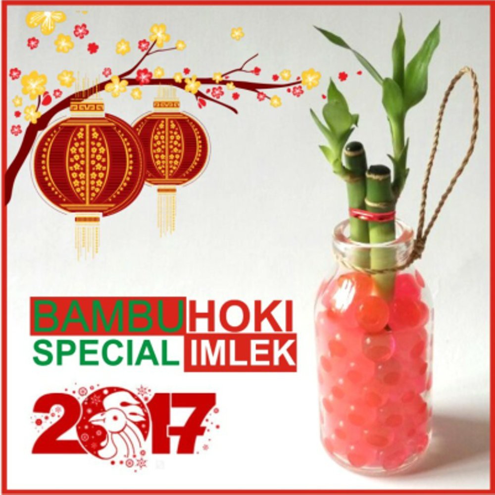 

Dijual Hadiah Imlek Bambu Hoki Special Imlek Kado Unik GIGANTIC Murah