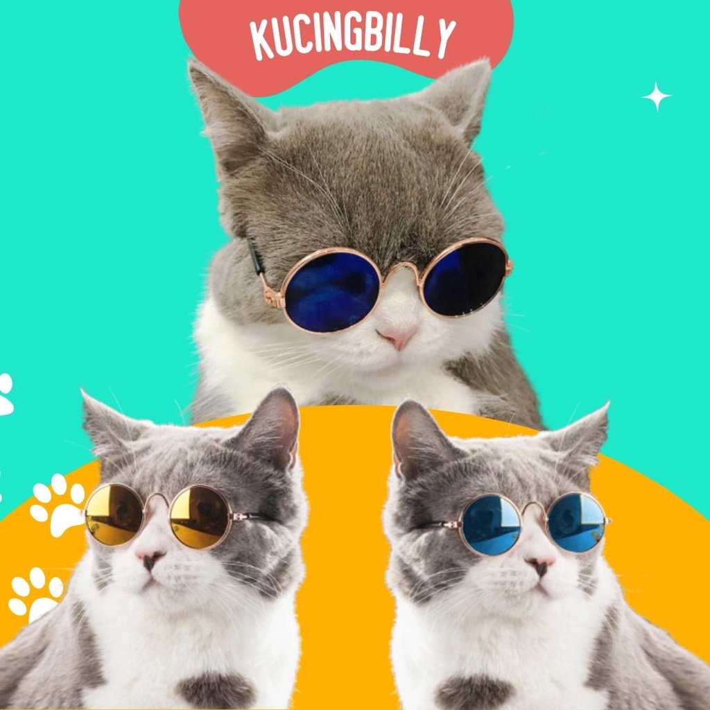 Kacamata sunglass keren kucing anjing