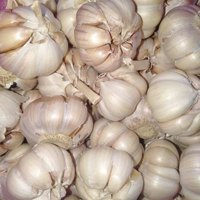

BAWANG PUTIH 1000gr