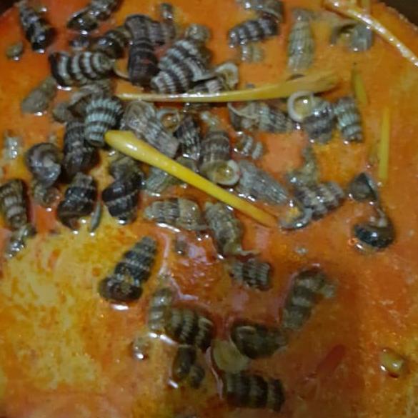 

BAYAR DITEMPAT✔️KATANGLO / SIPUT SEDUT / CHAO LO / KEONG NENEK|KD3