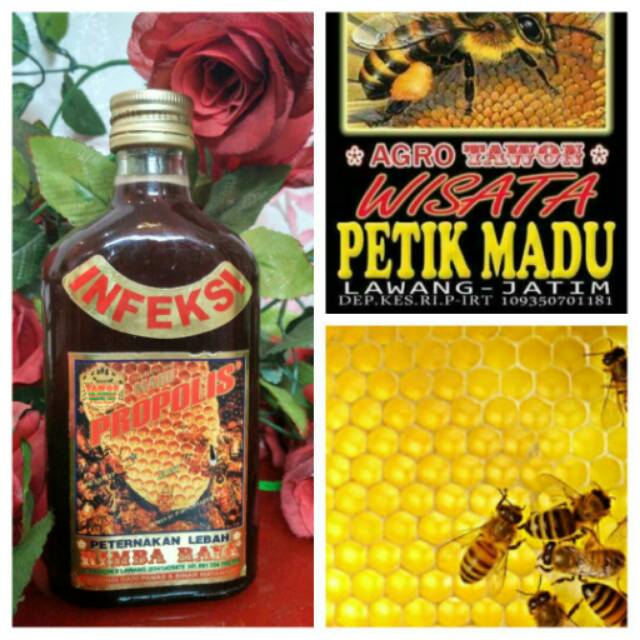 Madu Propolis Infeksi 250ml Asli Indonesia