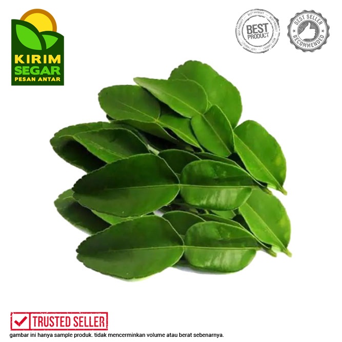 

Daun Jeruk / Jeruk Daun / Daun Jeruk Segar/Daun Jeruk Tumis/Masak/Pack