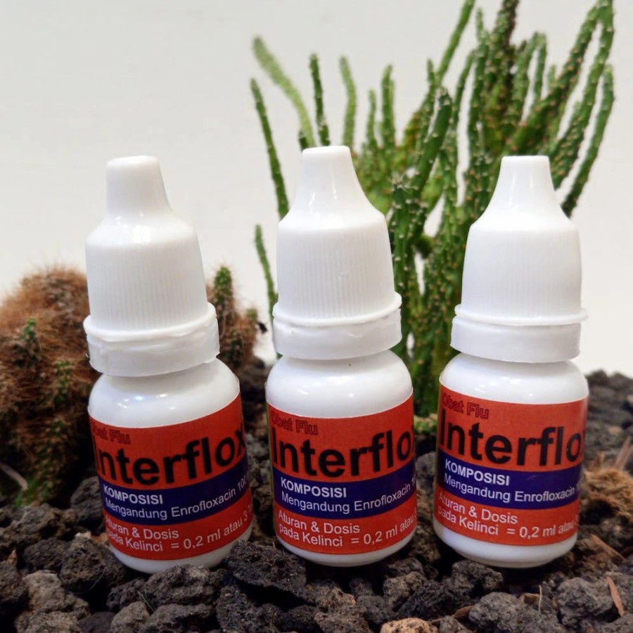 INTERFLOX ORAL OBAT FLU KELINCI