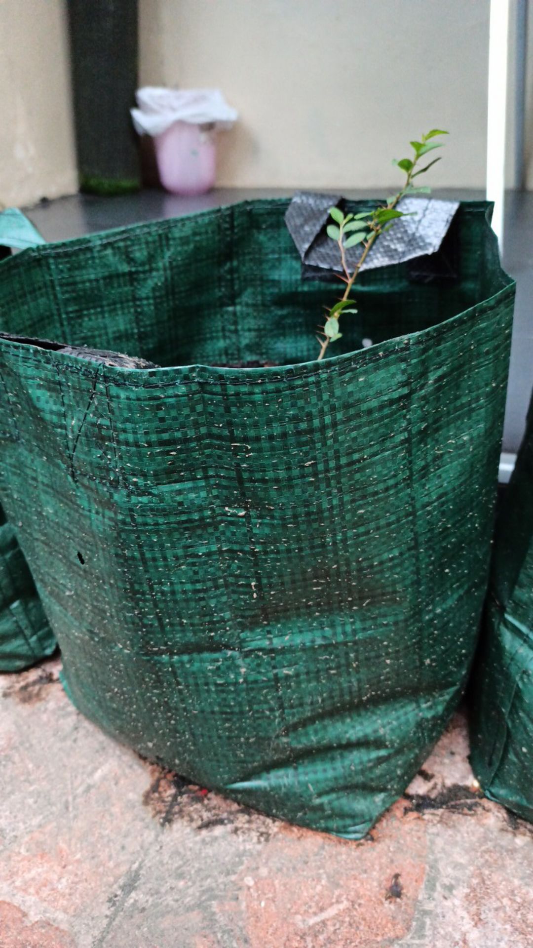 Growing Bag Planterbag 25 Liter Hijau Polibag Besar