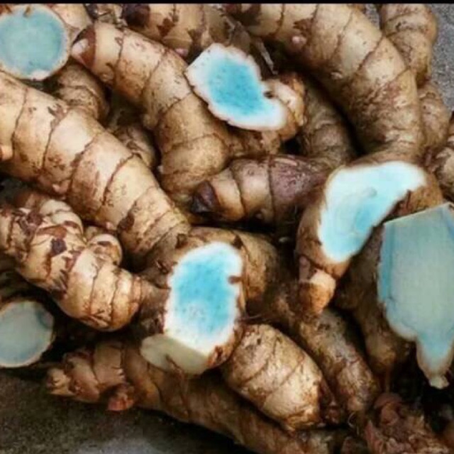 

Kunyit hitam / temu ireng