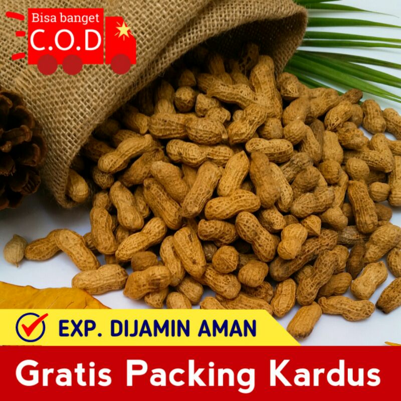 

[CINTAH SNACK] KACANG KULIT SANGRAI 250 GRAM / KACANG GARANG / KACANG SANGAN GURIH