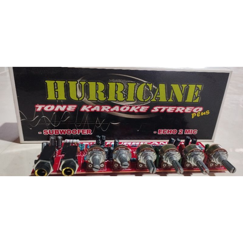 Tone Control Subwoofer  Setereo Karaoke Echo 2 mic Excellent