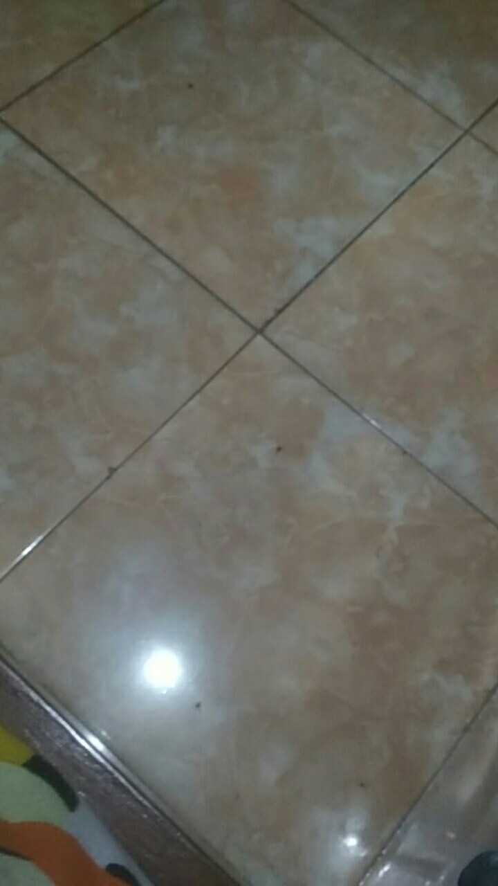 Orderan Cust Terdaftar 06