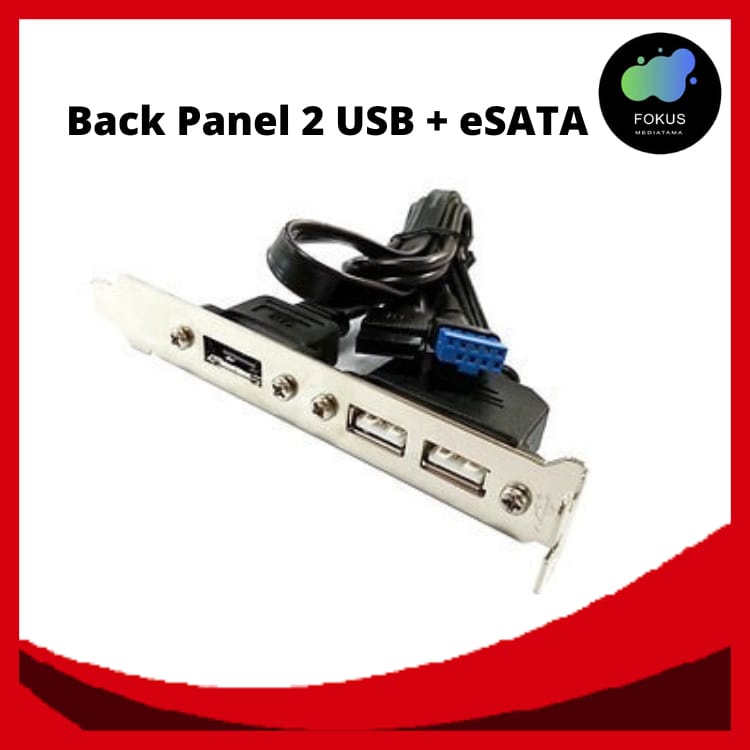 Header Back Panel 2 USB + eSATA KODE 100070