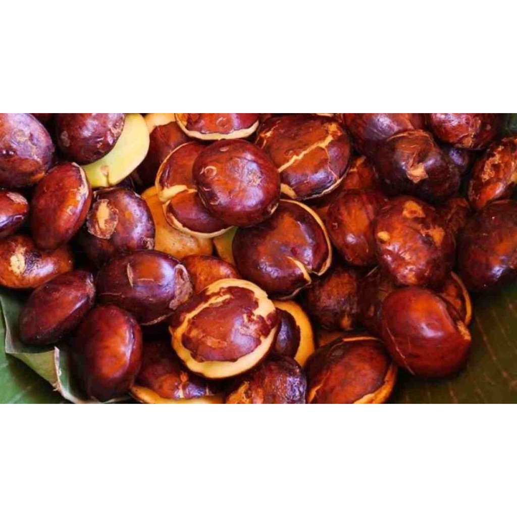 

Bandung Sayur Segar - Jengkol Per 250 g