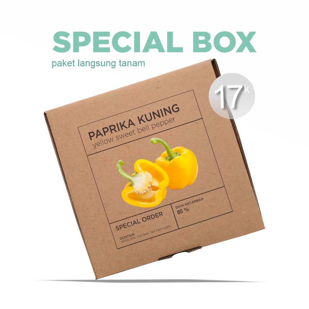 Paket Langsung Tanam - Gardening Kit - SPECIAL BOX - Benih Paprika Kuning / Yellow Sweet Bell Pepper