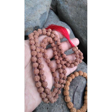 japamala rudraksha 108 manik bandul rudraksha