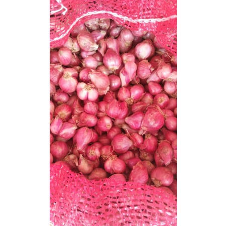 

bawang merah lokal super/ brambang 1kg/brambang besar