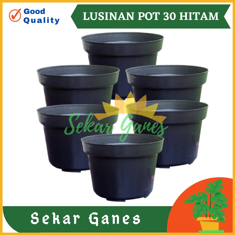 LUSINAN Pot 30 Hitam Isi 3 Pcs TERMURAH GROSIR Pot 3pcs Lusinan Hitam Murah Termurah 12 15 17 20 25