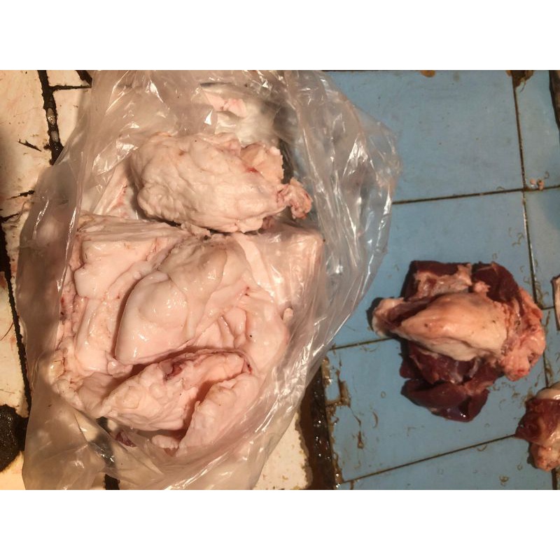 

minyak kambing