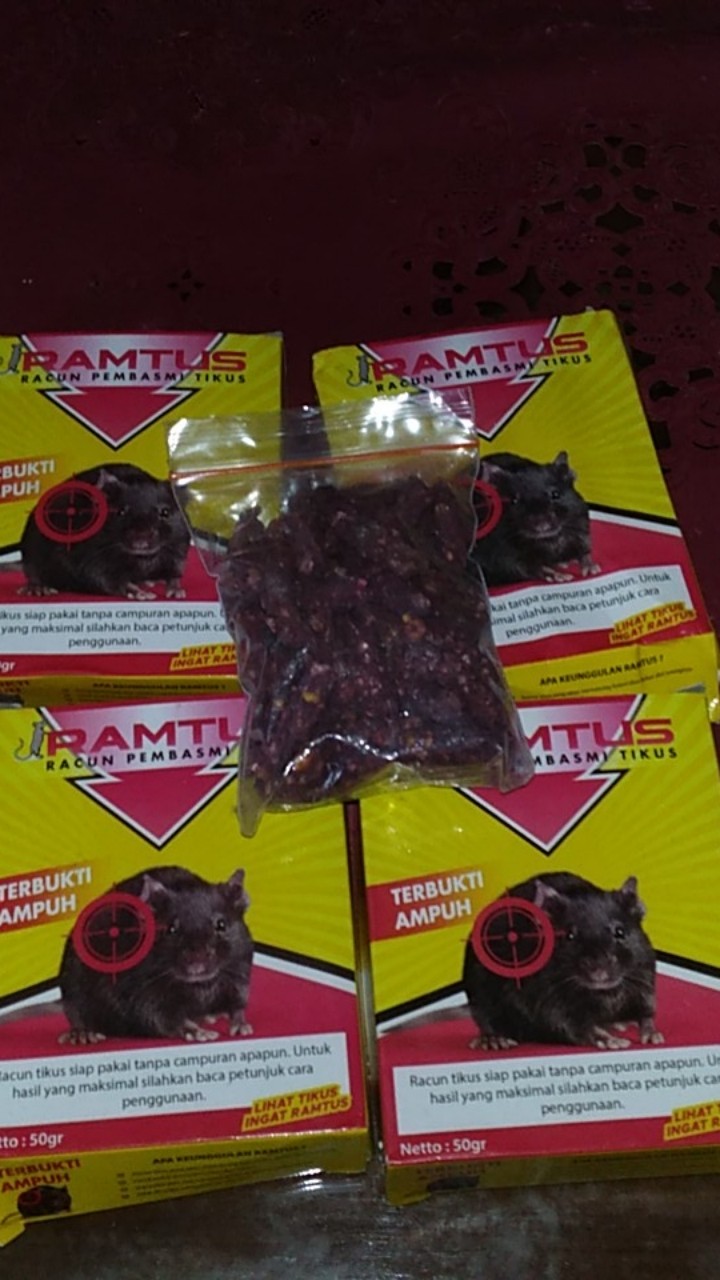 Ramtus Racun Tikus Ampuh Mati Kering Tidak Bau Pembasmi Curut Wirog Mencit Dirumah Di Mobil 4 Pack