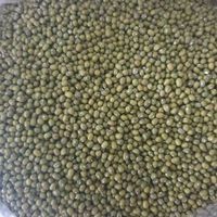 

Kacang Hijau 250 gr
