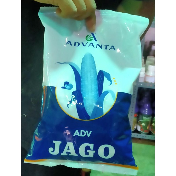 BIBIT JAGUNG ADV JAGO 1KG (ORI 100% ADVANTA)