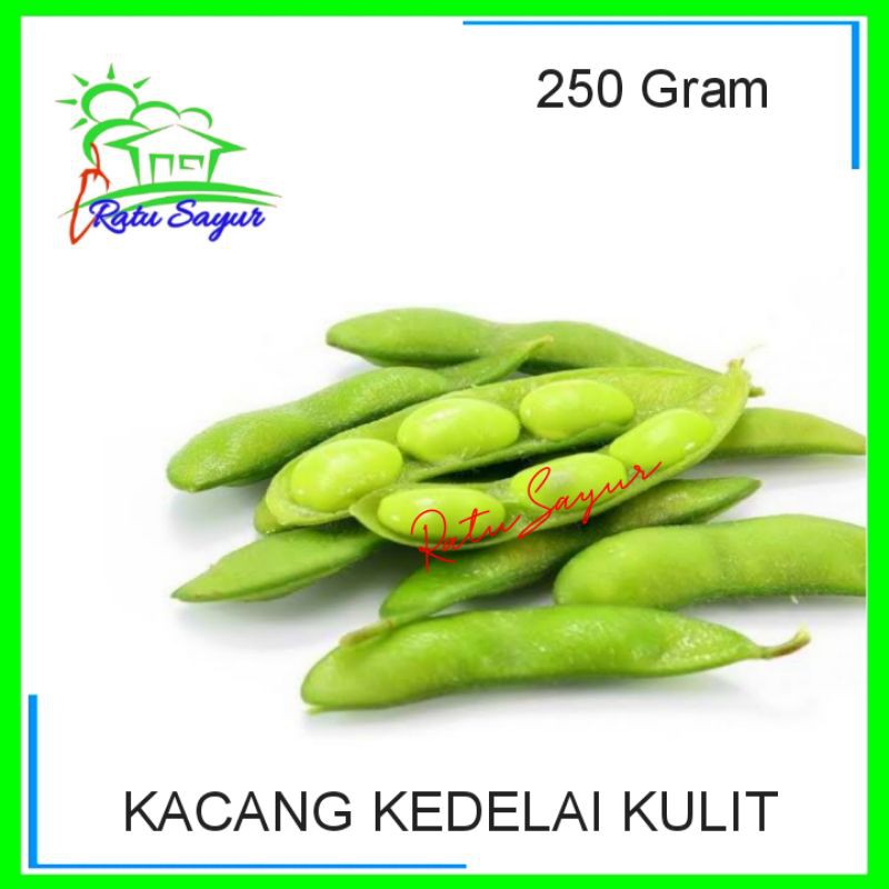 

KACANG KULIT KEDELAI/Ratu Sayur Cikeas [250gram]