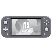 nintendo ds switch lite