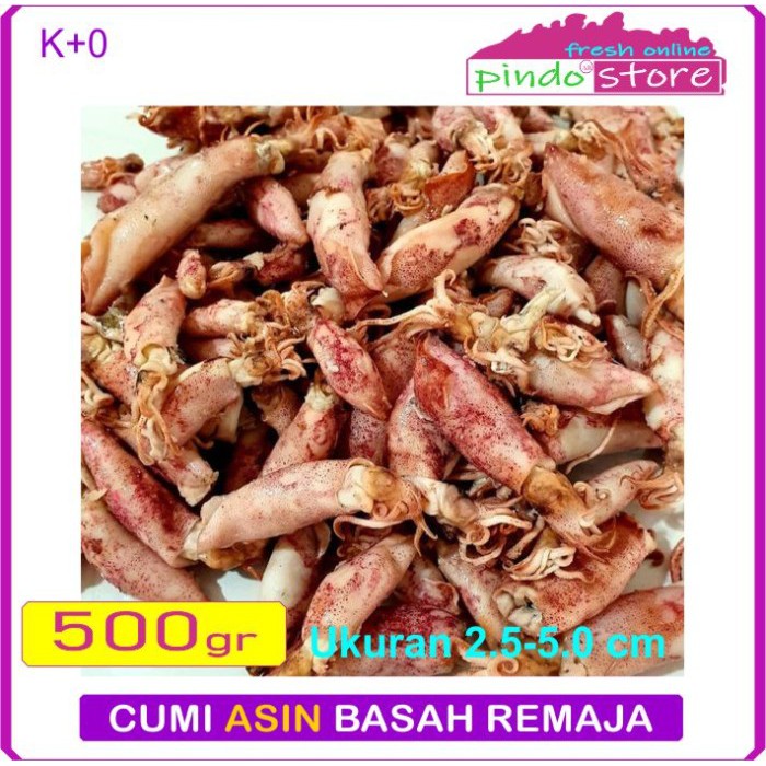 

CUMI ASIN LEMBAB SUPER 500 GRAM