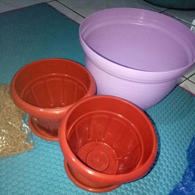 Pot bunga lebah warna warni 21cm Shopee Indonesia Pot bunga lebah warna warni 21cm Shopee Indonesia