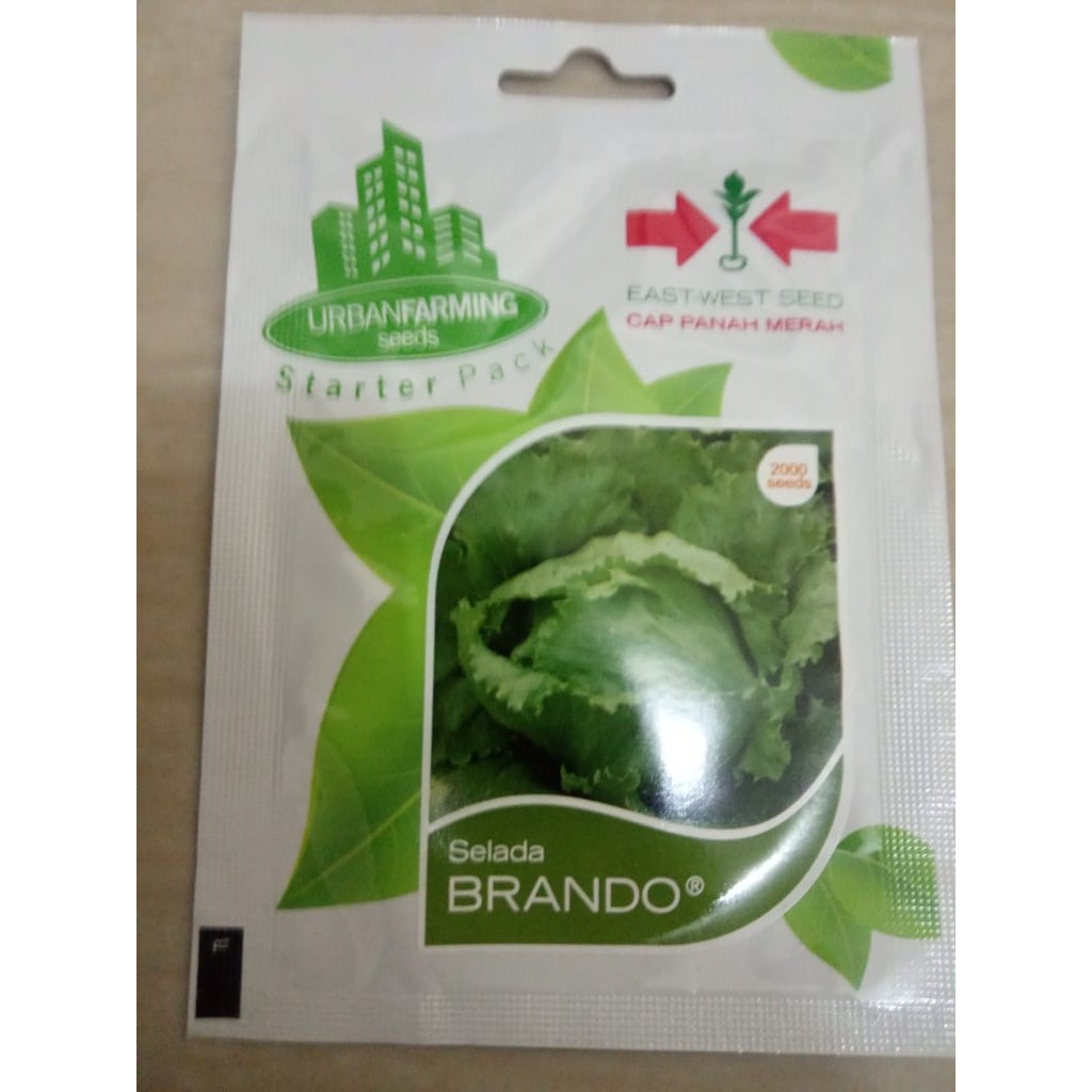Isi 2000 Butir/Biji, Benih Selada Brando Kemasan Original (Cap Panah Merah)