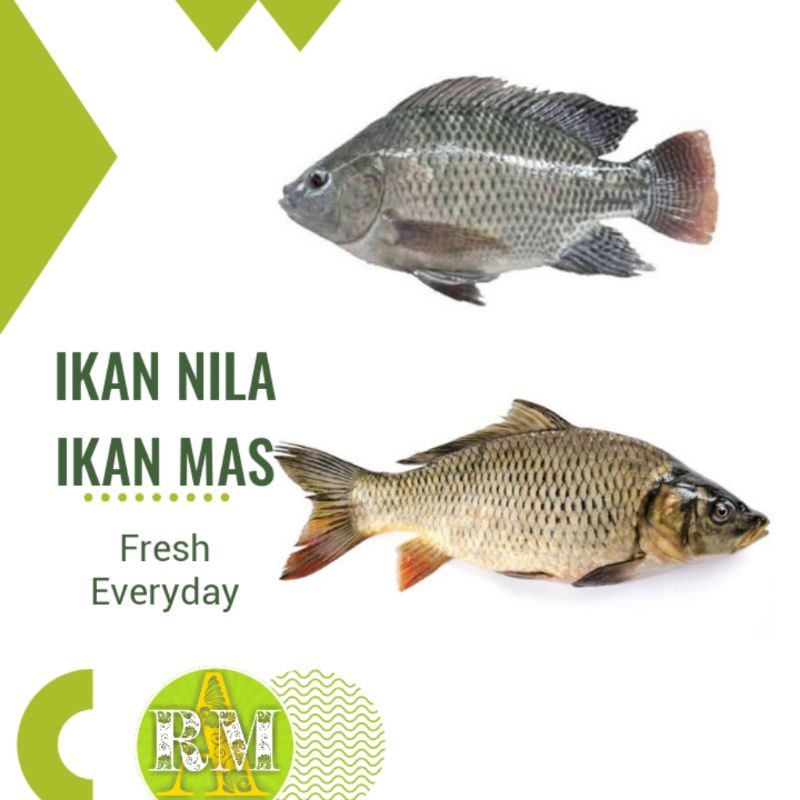 

IKAN MAS | IKAN NILA 400g-500g
