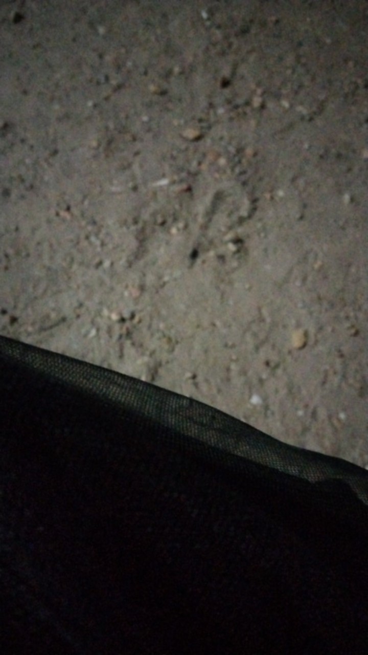 Maura Couple - Sania Ruffle Batik Couple Ori Ndoro Jowi Dnt Garansi Termurah Shopee