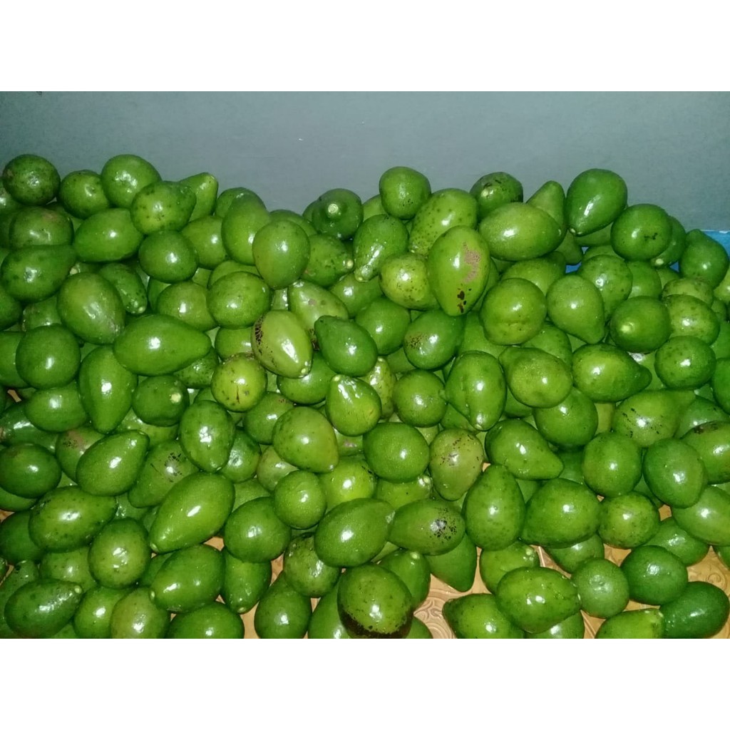 

Jual Alpukat Mentega 1 kilogram 1000 gram Termurah Pasar Sayur Bandungan Semarang
