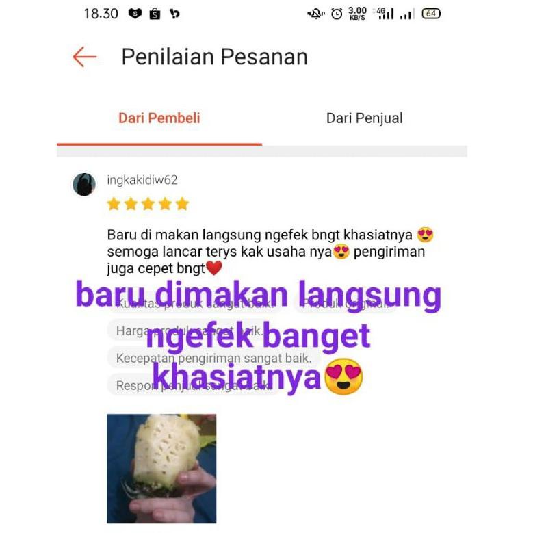

[KODE GJ7SH] 100% ASLI NANAS MUDA Pelancar Haid BERGARANSI ||
