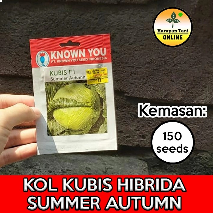 Kubis F1 Summer Autumn 150 Seeds | Kol Kubis | Known You