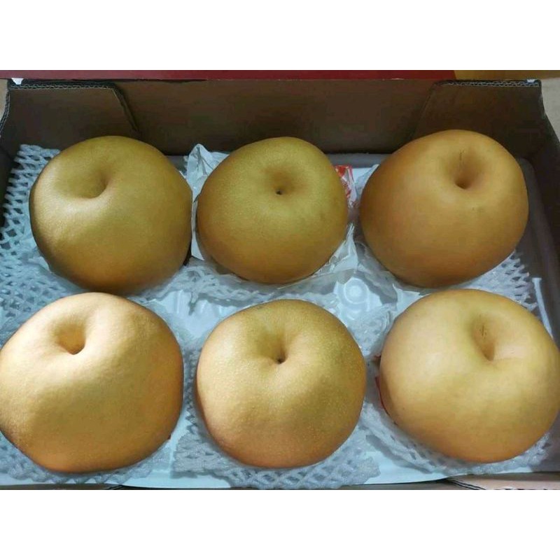 

Pear Singo