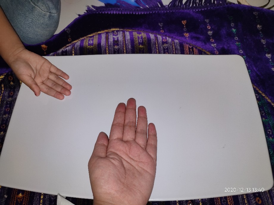 Piring Saji Melamin Persegi Panjang Hoover 3116p