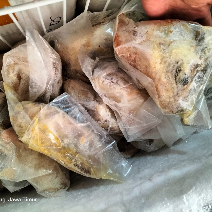 

Kepala Salmon