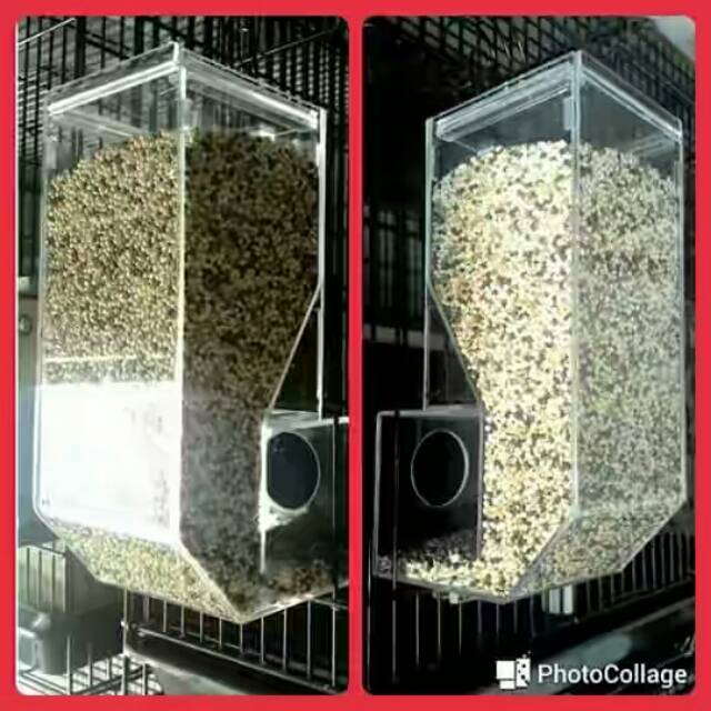 Wadah pakan akrilik / tempat makan burung