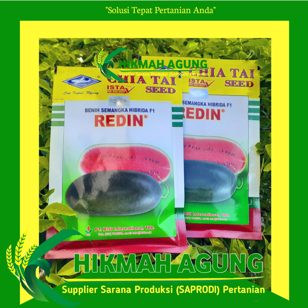 

Benih Semangka Hibrida F1 REDIN 20 gram Cap Kapal Terbang