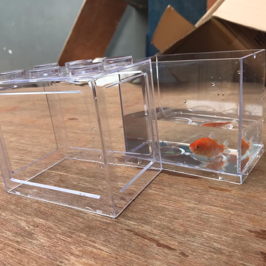 Akuarium Ikan Cupang Akrilik Mi08 Aquarium Mini Acrylic Mi-08