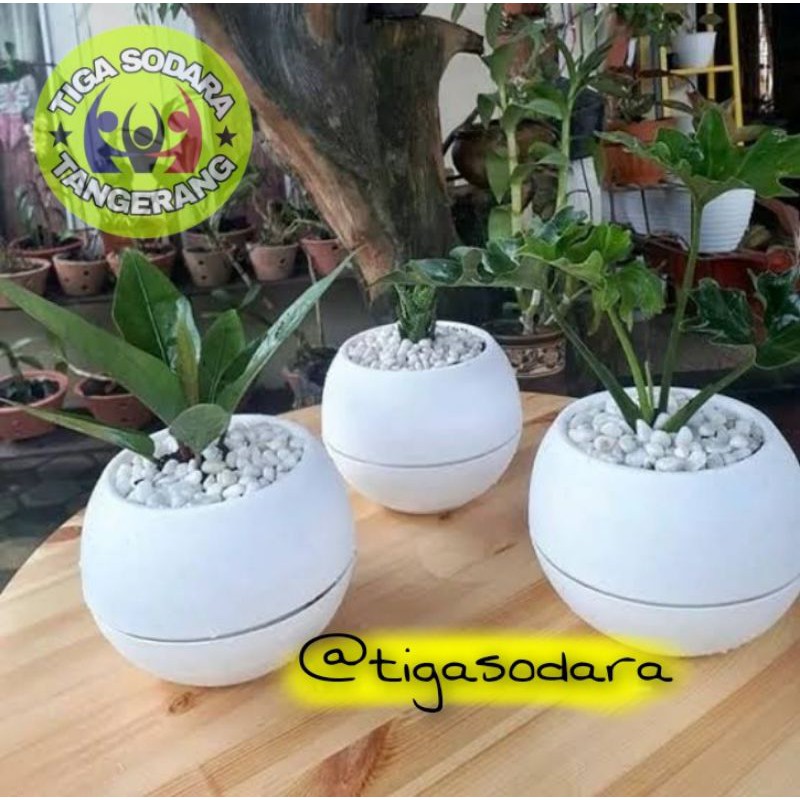 Pot Bulat Vienna Putih /Pot Unik /Pot Lucu